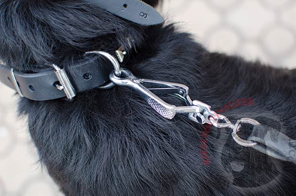Reliable collar fixation with strong nickel-plated buckle