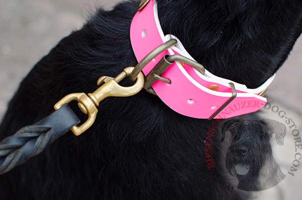 Pink leather Riesenschnauzer collar with brass buckle and D-ring