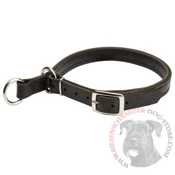 Riesenschnauzer Obedience Training Choke  Leather Collar