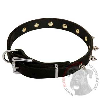 Riesenschnauzer Dog Leather Collar Steel Nickel Plated Spikes