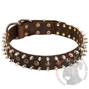 Riesenschnauzer Leather Collar with Stylish Decoration