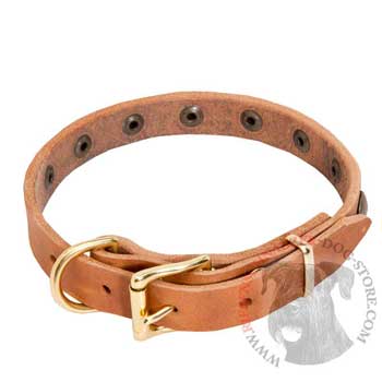 Riesenschnauzer Leather Collar with Studs