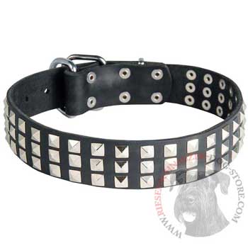 Studded Riesenschnauzer Collar