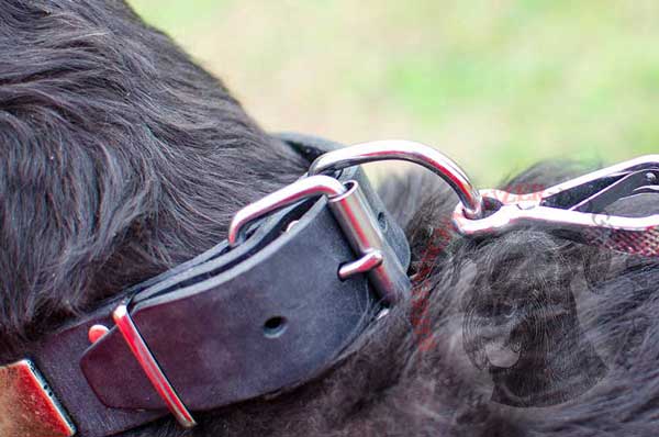 Nickel D-ring for Leash Attachment to Vintage Plated Riesenschnauzer Leather Collar