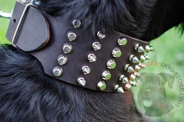 Attractive spikes and studs with smooth polished surface 