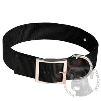 Riesenschnauzer Training Collar with ID Tag