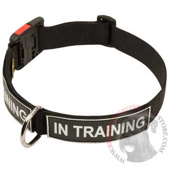 Nylon Riesenschnauzer Collar With ID Patches