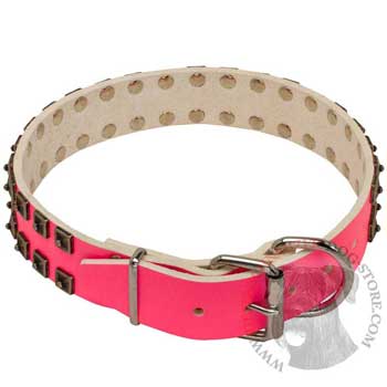 Riesenschnauzer Pink Leather Collar for Walking She-Dogs