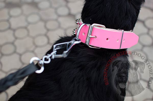 Long servicing leather collar with non-corrosive hardware