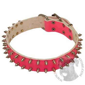 Spiked Pink Leather She-Dog Collar for Riesenschnauzer Walking
