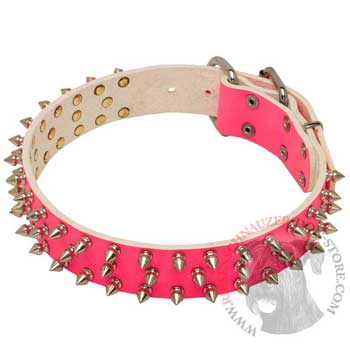 Pink Leather Collar for Riesenschnauzer She-Dogs