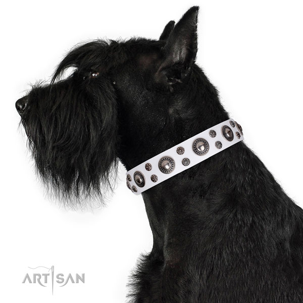 Comfortable wearing decorated dog collar of top quality natural leather