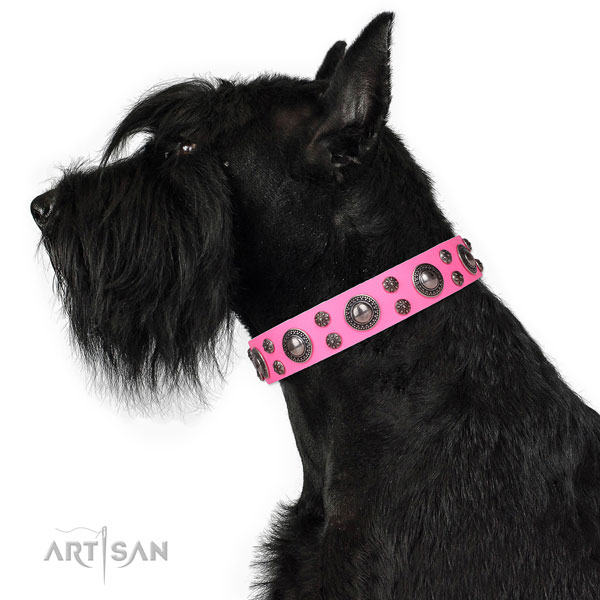 Walking embellished dog collar of fine quality natural leather
