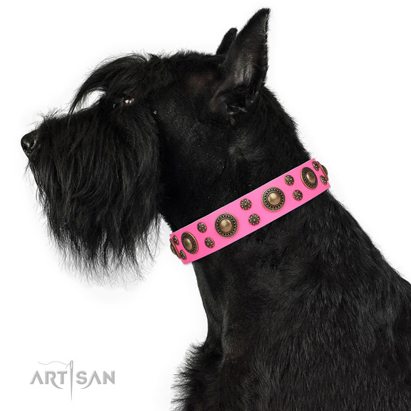 Daily walking adorned dog collar of top notch material