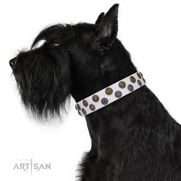 Daily walking decorated dog collar of finest quality material