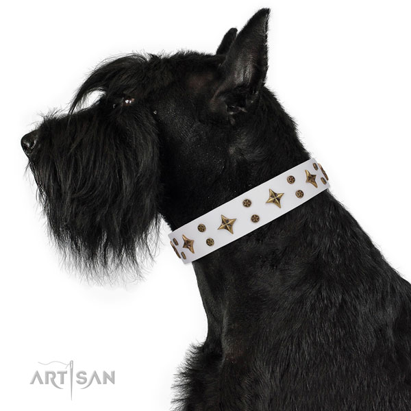 Daily walking adorned dog collar of strong material