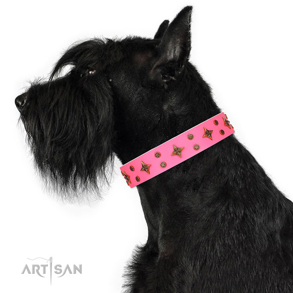 Handy use embellished dog collar of durable material