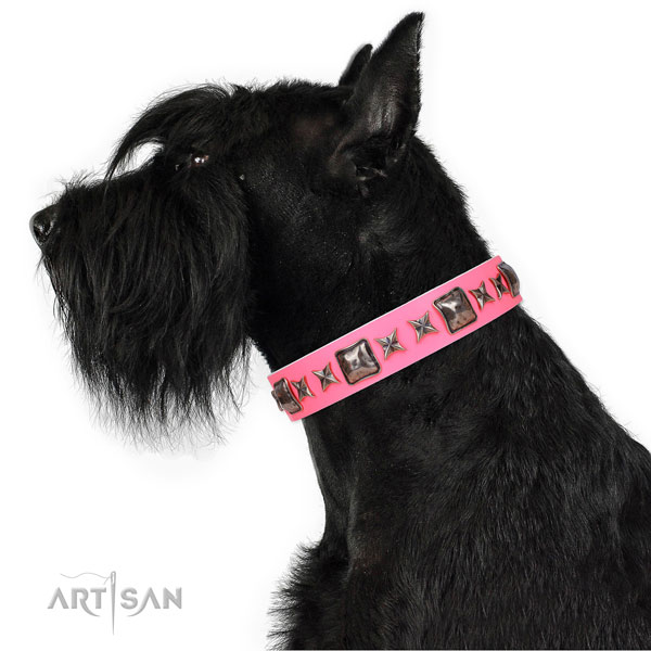 Exquisite decorated genuine leather dog collar for everyday walking