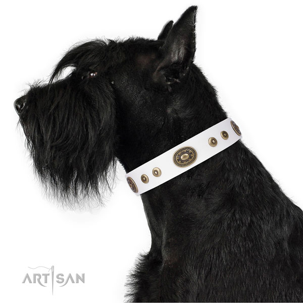 Stunning embellished genuine leather dog collar for walking