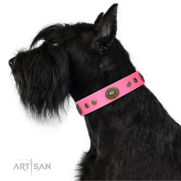 Unique decorated genuine leather dog collar for everyday walking
