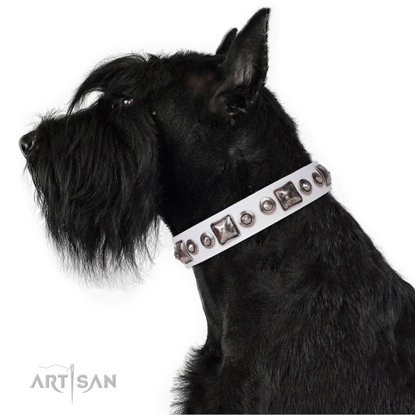 Fashionable adorned genuine leather dog collar for everyday use
