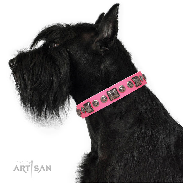 Significant embellished natural leather dog collar for everyday use