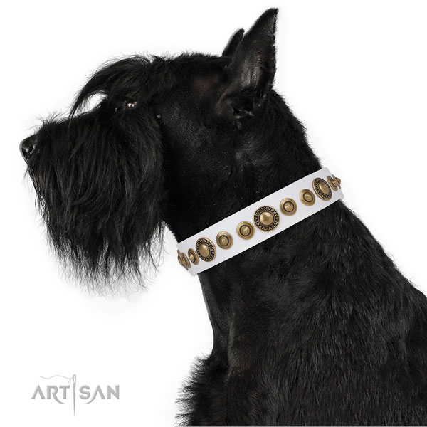 Corrosion resistant buckle and D-ring on full grain leather dog collar for stylish walking