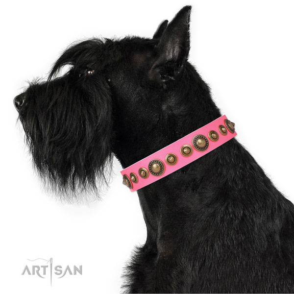 Rust-proof buckle and D-ring on natural leather dog collar for stylish walking