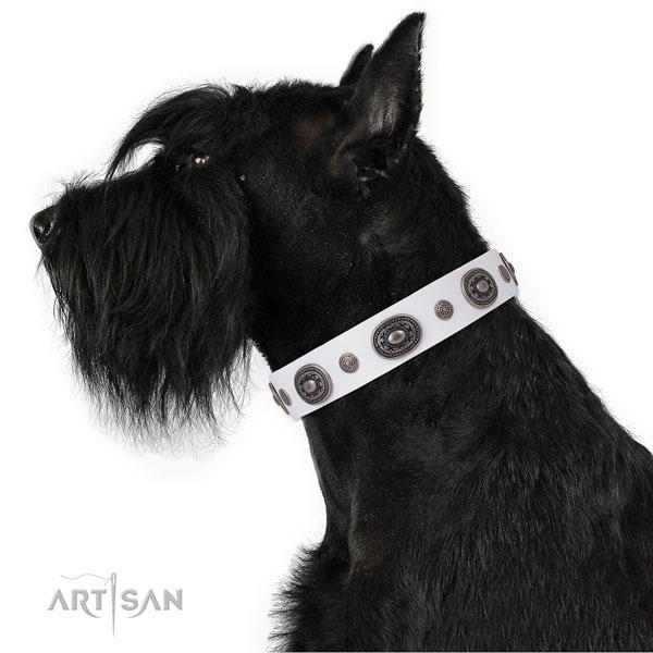 Natural leather dog collar with reliable buckle and D-ring for everyday walking
