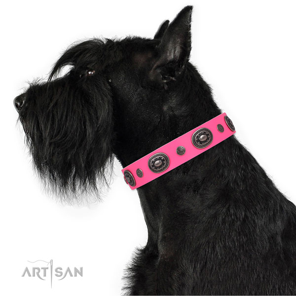 Genuine leather dog collar with corrosion resistant buckle and D-ring for everyday use