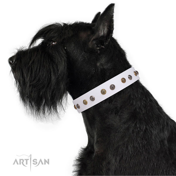 Leather dog collar with rust resistant buckle and D-ring for comfy wearing