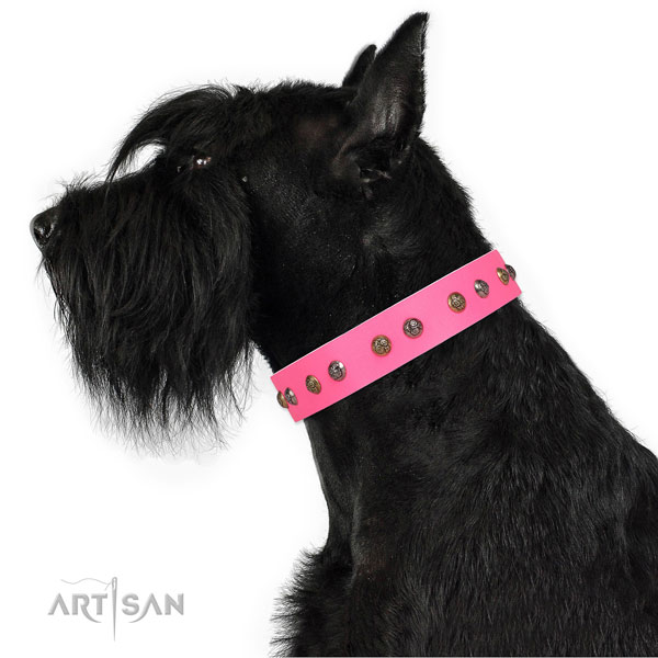 Daily walking adorned dog collar made of top rate leather