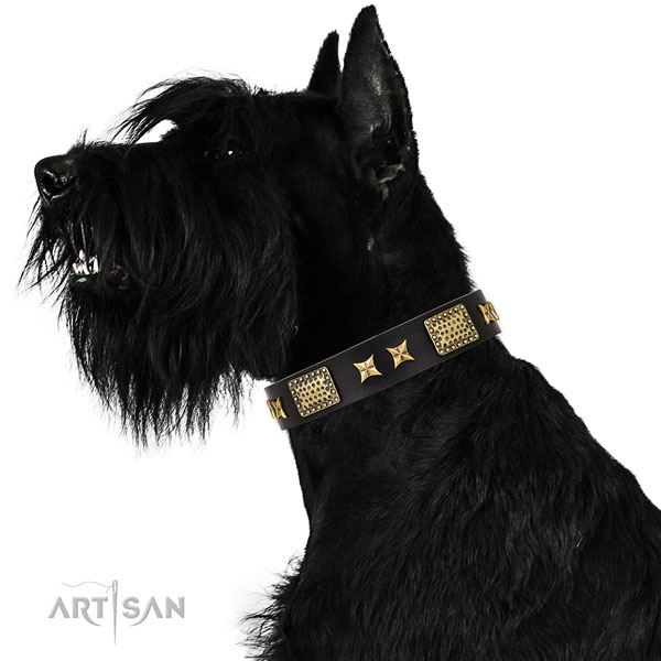 Walking dog collar with amazing studs