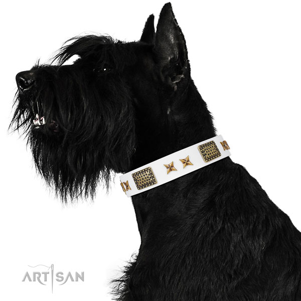 Handy use dog collar with exceptional decorations