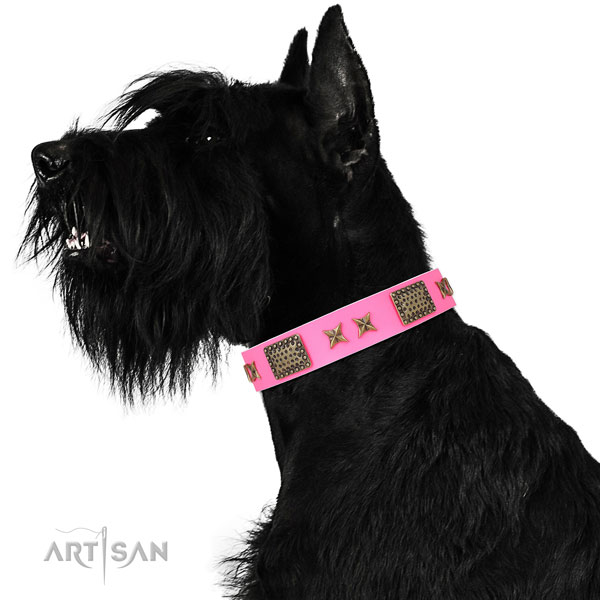 Exquisite decorations on basic training full grain natural leather dog collar