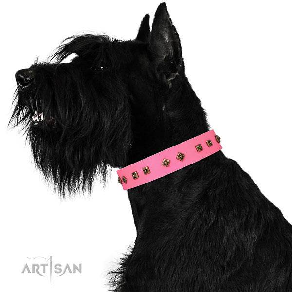 Top notch studs on easy wearing dog collar