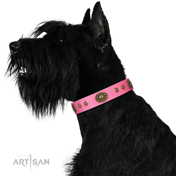 Exceptional studs on stylish walking dog collar