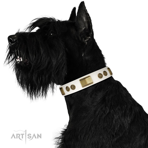 Reliable basic training dog collar of leather