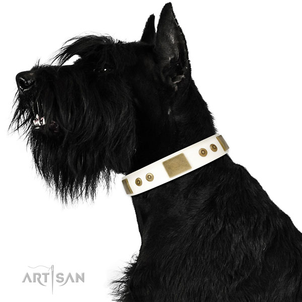Reliable daily use dog collar of genuine leather