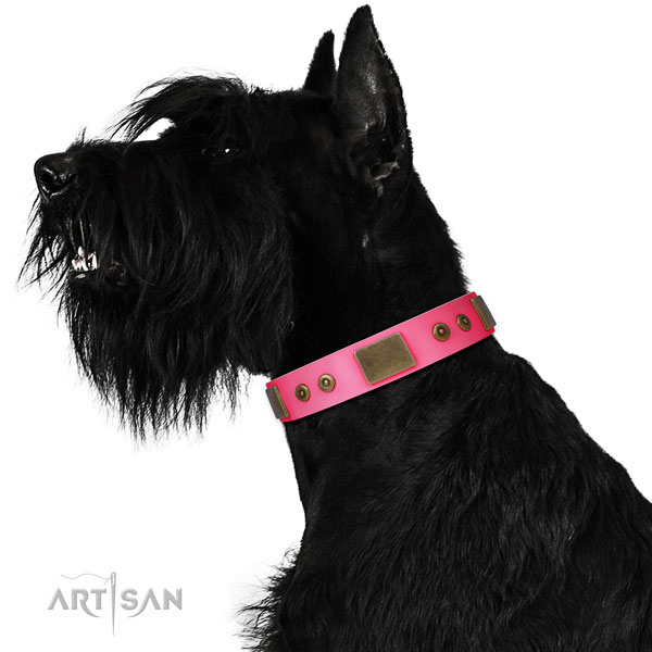 Unusual leather collar for your stylish doggie