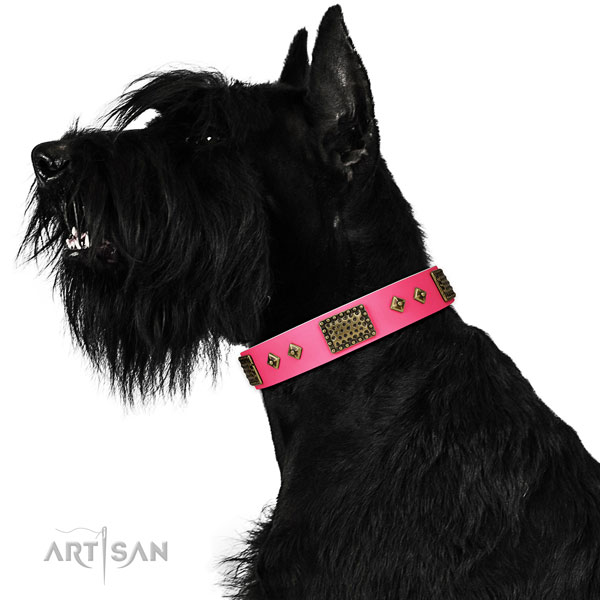 Designer leather collar for your handsome doggie