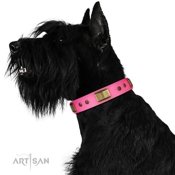 Daily use dog collar of genuine leather with trendy adornments