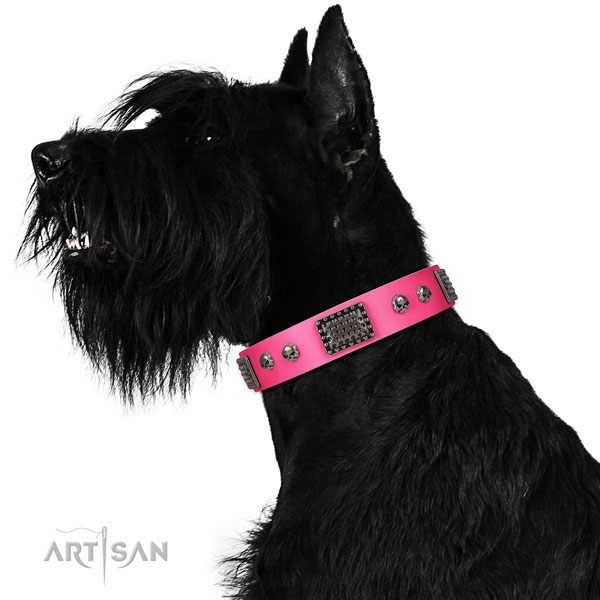 Exceptional full grain natural leather collar for your handsome doggie