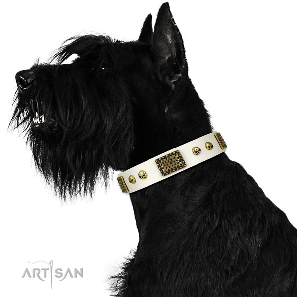 Reliable buckle on full grain genuine leather dog collar for everyday walking