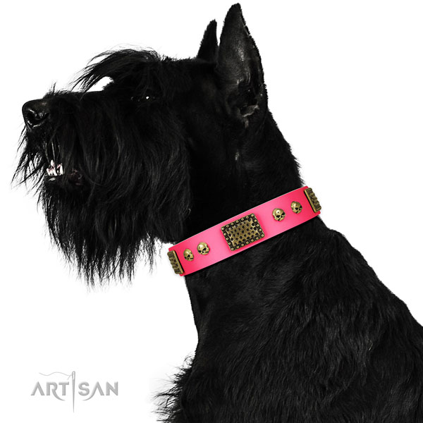 Corrosion proof D-ring on genuine leather dog collar for everyday walking