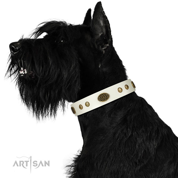 Reliable D-ring on leather dog collar for comfortable wearing