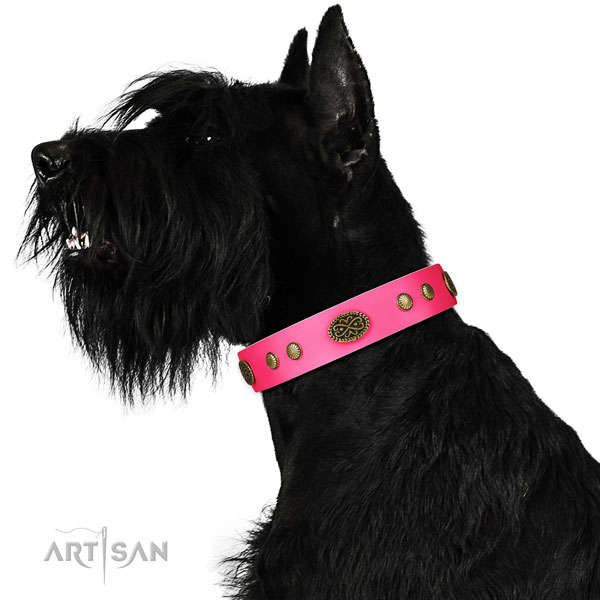 Rust-proof buckle on full grain natural leather dog collar for daily walking