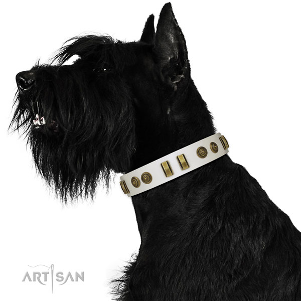 Handy use dog collar of genuine leather with extraordinary adornments