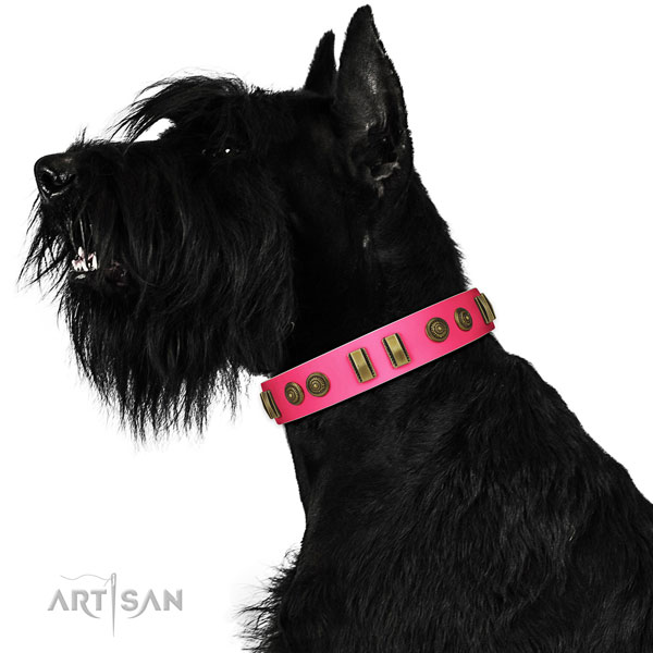 Stylish walking dog collar of leather with inimitable embellishments