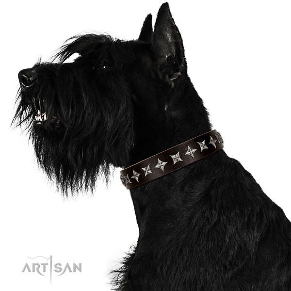 Stylish walking decorated dog collar of fine quality natural leather